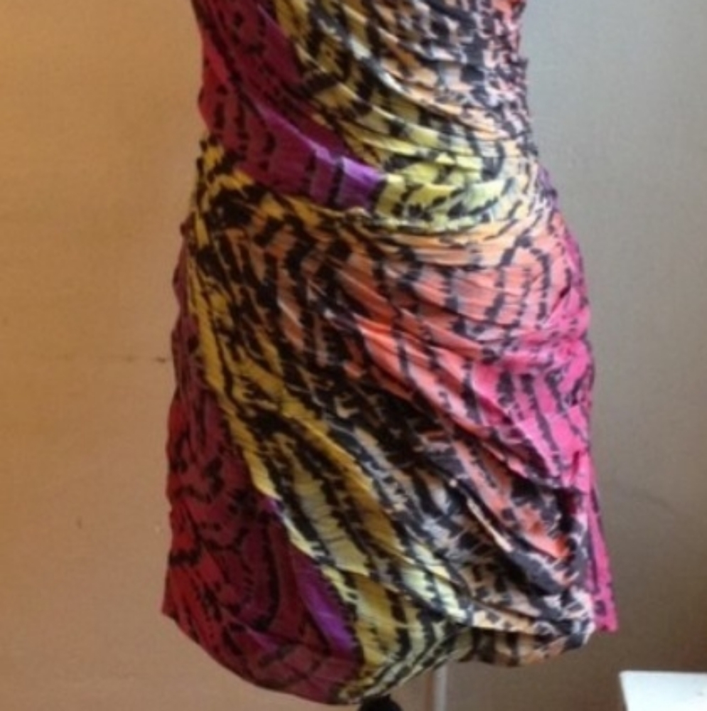 Dvf Erosa Multi Color Rainbow Zebra Zip dress Sz 2 - Picture 7 of 8